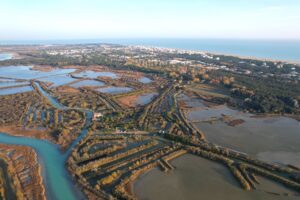 bibione